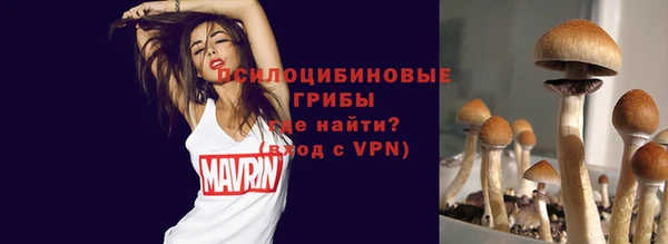 гидра Россошь