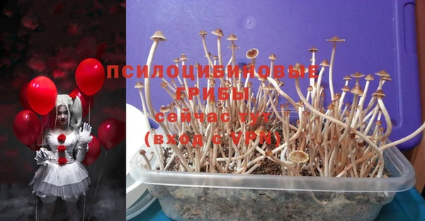 прущая мука Рославль