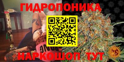 jwh Славянск-на-Кубани