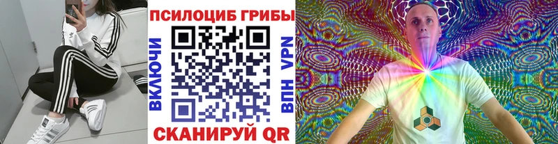 как найти   Родники  Галлюциногенные грибы Psilocybe 